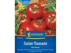 Kiepenkerl Profi-Line Tomaten "Harzfeuer" F1-Hybride