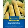 Kiepenkerl Profi-Line Zuckermais "Sprinter" F1-Hybride