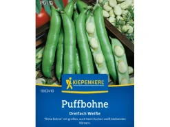Kiepenkerl Puffbohne "Dreifach weiße"