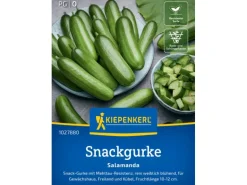 Kiepenkerl Salatgurke Salamanda F1