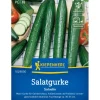 Kiepenkerl Salatgurke Saladin