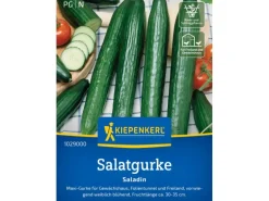 Kiepenkerl Salatgurke Saladin
