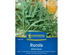 Kiepenkerl Wilde Rauke "Rucola"