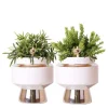 Kolibri Greens Rhipsalis 2Er Set Pflanzen In Silbernen Le Chic Ziertöpfen Keramik Topfgröße 9cm