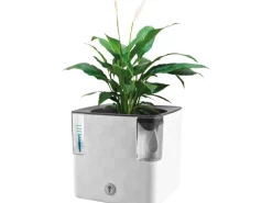 Kräutertopf mit Bewässerungssystem 14 cm x 14 cm x 14 cm Weiß