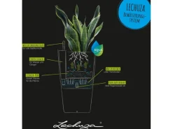 Lechuza® Pflanzgefäß Cilindro Color Ø 32 cm x 56 cm Weiß