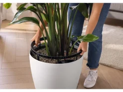 Lechuza® Pflanzgefäß Classico Color Ls 43 Weiß Ø 43 cm