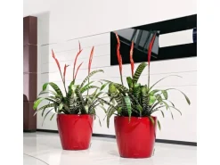 Lechuza® Pflanzgefäß Classico Premium LS Ø 22 cm x 21 cm Scarlet Rot hochglanz