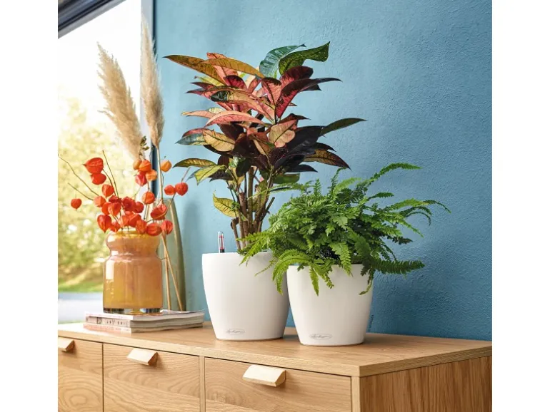 Lechuza® Pflanzgefäß Classico Color 21 Weiß Ø 21 cm