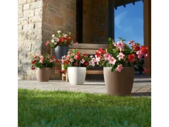 Lechuza® Pflanzgefäß Classico Color 21 Weiß Ø 21 cm