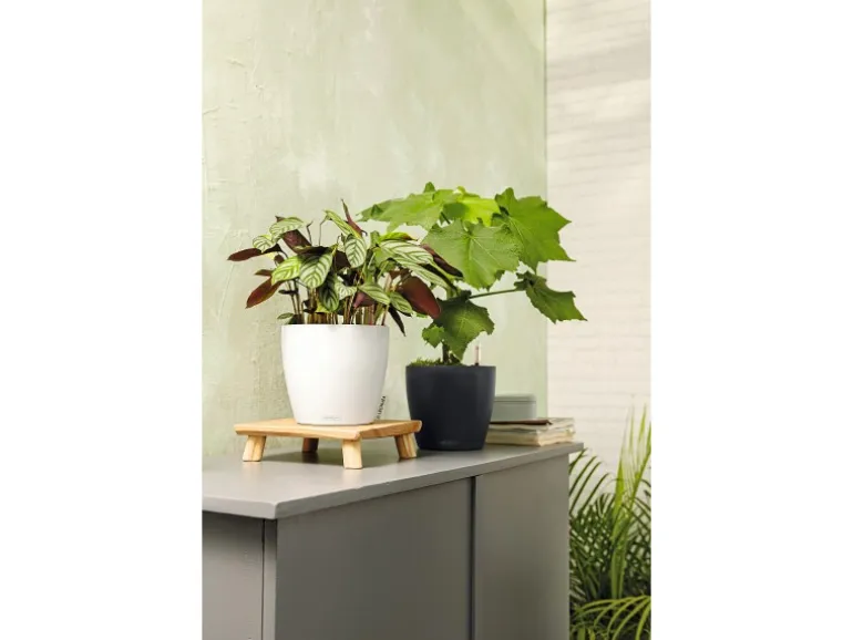 Lechuza® Pflanzgefäß Classico Color 28 Weiß Ø 28 cm