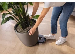 Lechuza® Pflanzgefäß Classico Color Ls 43 Muskat Ø 43 cm