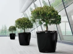 Lechuza® Pflanzgefäß Classico Premium Ø 70 cm x 65 cm Schwarz hochglanz