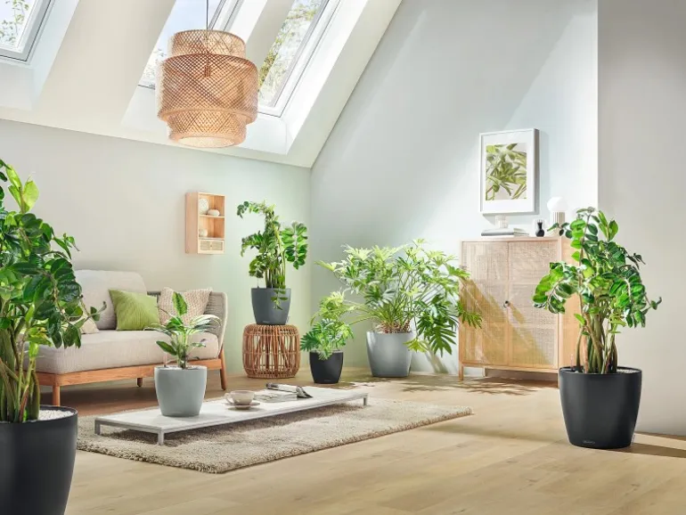 Lechuza® Pflanzgefäß Classico Color Eco 21 Hellgrau Ø 22 cm