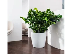 Lechuza® Pflanzgefäß Classico Color 35 Weiß Ø 35 cm