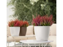 Lechuza® Pflanzgefäß Classico Color 35 Weiß Ø 35 cm