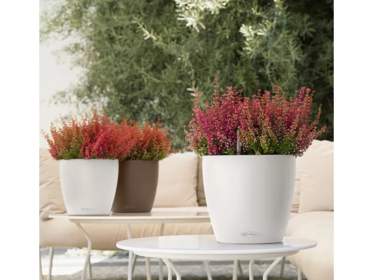Lechuza® Pflanzgefäß Classico Color 35 Weiß Ø 35 cm