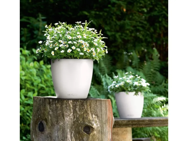 Lechuza® Pflanzgefäß Classico Color 35 Weiß Ø 35 cm