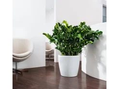 Lechuza® Pflanzgefäß Classico Color 35 Weiß Ø 35 cm