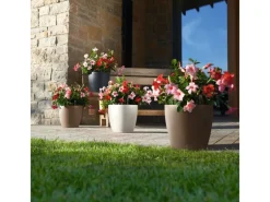 Lechuza® Pflanzgefäß Classico Color 35 Muskat Ø 35 cm