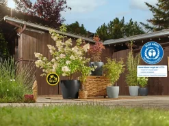 Lechuza® Pflanzgefäß Classico Color Ls 43 Schiefergrau Ø 43 cm