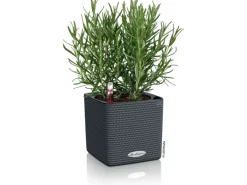 Lechuza® Pflanzgefäß Cube Color 14 Schiefergrau 14 cm x 14 cm