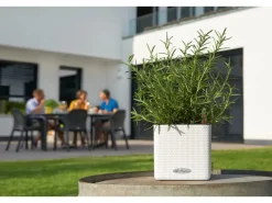 Lechuza® Pflanzgefäß Cube Color 14 Weiß 14 cm x 14 cm