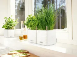 Lechuza® Pflanzgefäß Cube Color 14 Weiß 14 cm x 14 cm