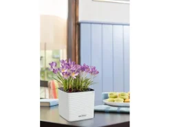 Lechuza® Pflanzgefäß Cube Color 14 Weiß 14 cm x 14 cm