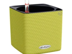 Lechuza® Pflanzgefäß Cube Color 14 cm x 14 cm x 14 cm Limettengrün
