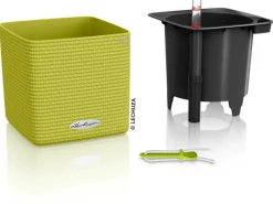 Lechuza® Pflanzgefäß Cube Color 14 cm x 14 cm x 14 cm Limettengrün