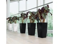 Lechuza® Pflanzgefäß Cubico Premium 50 cm x 50 cm Schwarz hochglanz