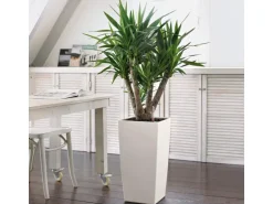 Lechuza® Pflanzgefäß Cubico Color 30 Weiß 30 cm x 30 cm