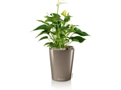 Lechuza® Pflanzgefäß Mini-Deltini Taupe hochglanz Ø 10 cm