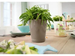 Lechuza® Pflanzgefäß Mini-Deltini Taupe hochglanz Ø 10 cm