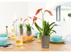 Lechuza® Pflanzgefäß Mini-Deltini Taupe hochglanz Ø 10 cm