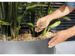 Lechuza® Pflanzsubstrat Pon XXL 25 l Neutral