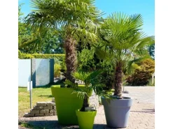 Mein-Pflanztopf  Design Pflanzkübel XXL Gemma Hochwertiger Kunststoff Ø 50 cm 40 Liter Höhe 44 cm Grün