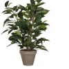 Mica Decorations Kunstpflanze Ficus Natasja Grün H 40 cm, Ø: 30 cm