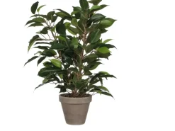 Mica Decorations Kunstpflanze Ficus Natasja Grün H 40 cm, Ø: 30 cm