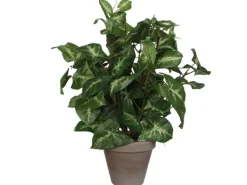Mica Decorations Kunstpflanze Syngonium im Blumentopf Ø 25 cm x 35 cm Grün