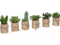 Mica Decorations Kunstpflanze Sukkulente Sortenauswahl im Topf Ø 5 x 12 cm Grün