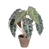 Mica Decorations Kunstpflanze Alocasia im Blumentopf Stan Ø 36 cm x 44 cm Grün