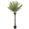 ML-Design Künstliche Palme 150 cm Groß Tropische Kunstpalme im Topf