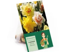 Narzissen GefüllteMischung 15 Stück Narcissus double Mixed