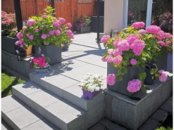 Ondis24 Pflanzkübel Vulkan 40 Pierre HellGrau Blumentopf Pflanzgefäß