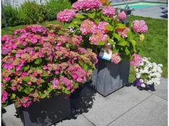 Ondis24 Pflanzkübel Vulkan 40 Pierre HellGrau Blumentopf Pflanzgefäß