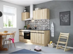 Optifit Küchenzeile OPTIkombi Kaya290 mit E-Geräten 210 cm Breite Wildeiche NB