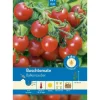 Pabst Keimkraft Buschtomate Früh & Robust Balkonzauber Saatgut