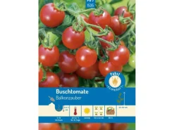 Pabst Keimkraft Buschtomate Früh & Robust Balkonzauber Saatgut